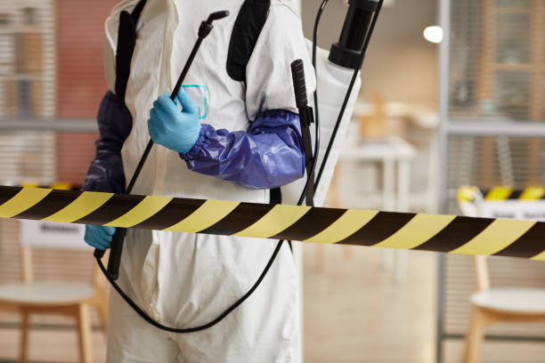 Professional Odor Removal technician working in Midpines, CA
